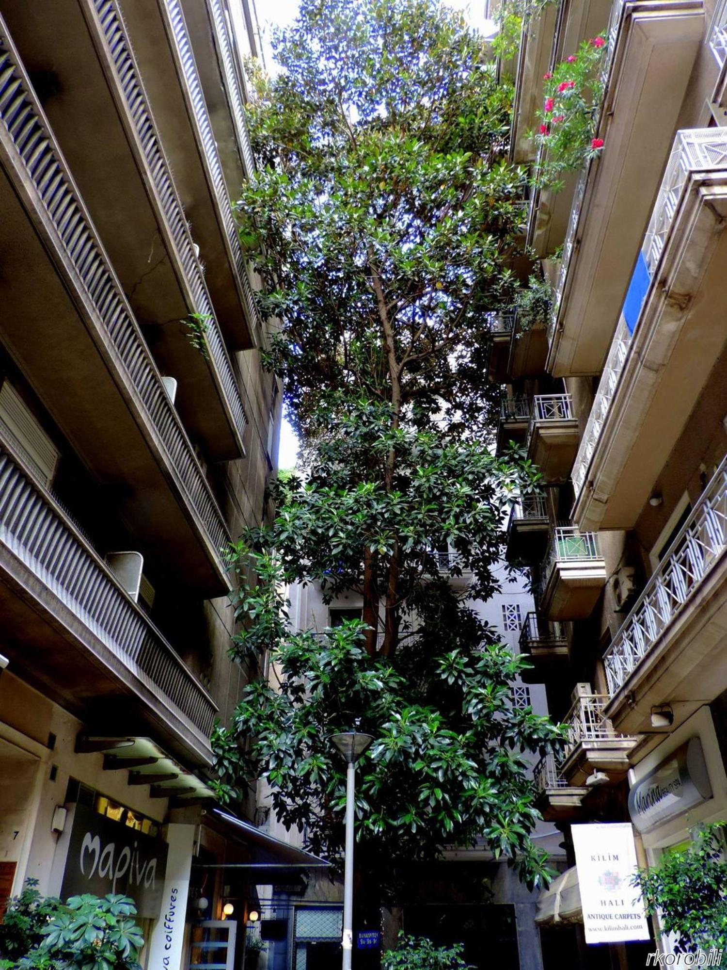 Stay At Premium Syntagma Location - Experience 1 Atenas Exterior foto